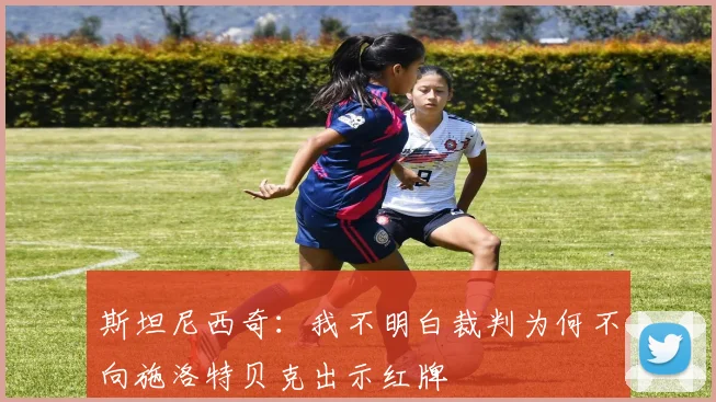 斯坦尼西奇：我不明白裁判为何不向施洛特贝克出示红牌